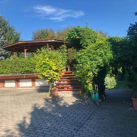 Villa Grazia Heviz Bagian luar foto